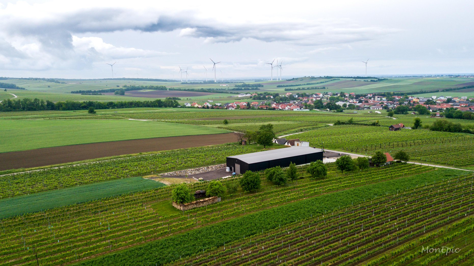Burgenland Chardonnay 2022