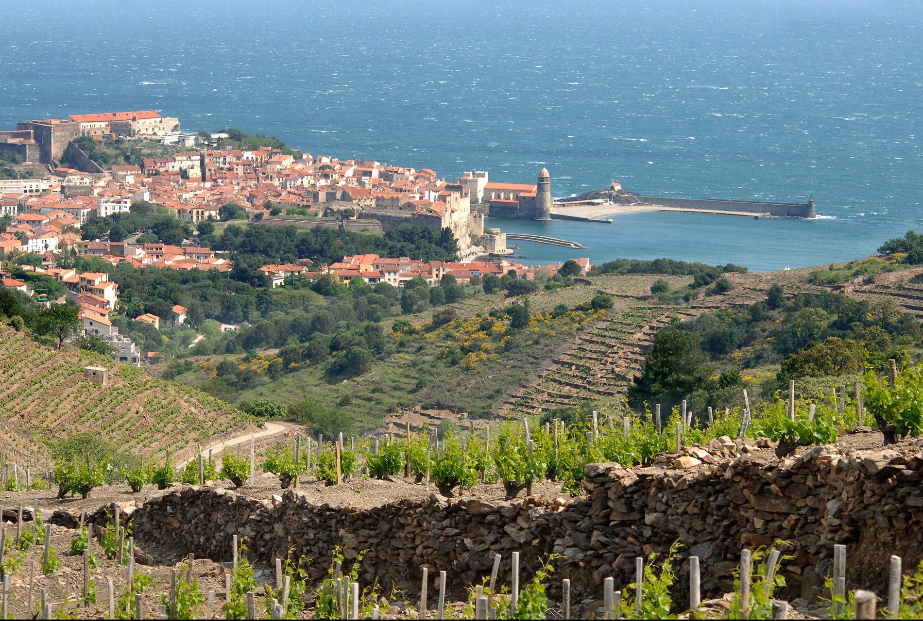 IGP Côtes Catalanes 'Natural' Rouge