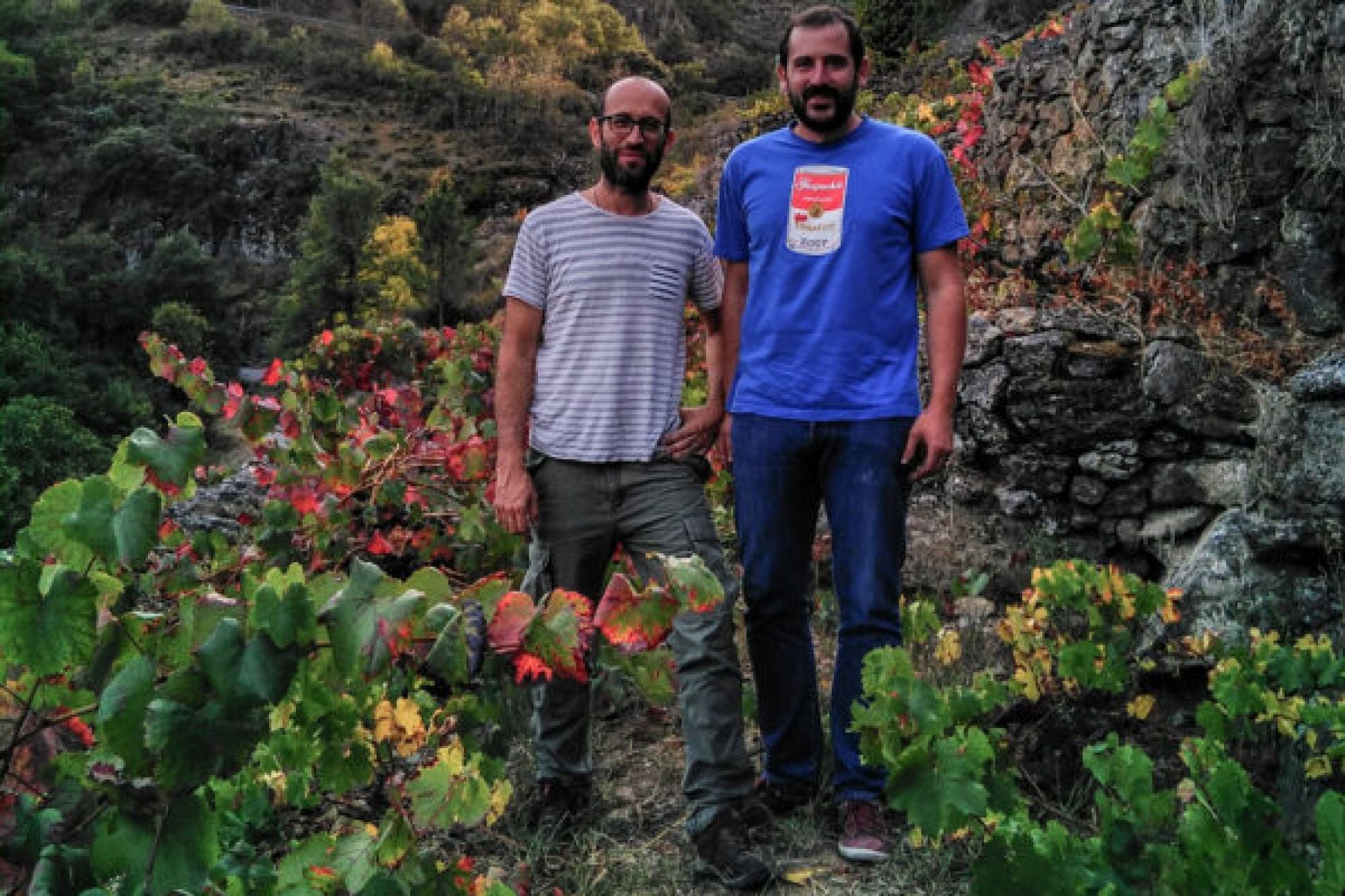 Vin d'Espagne 'Camándula' 2019