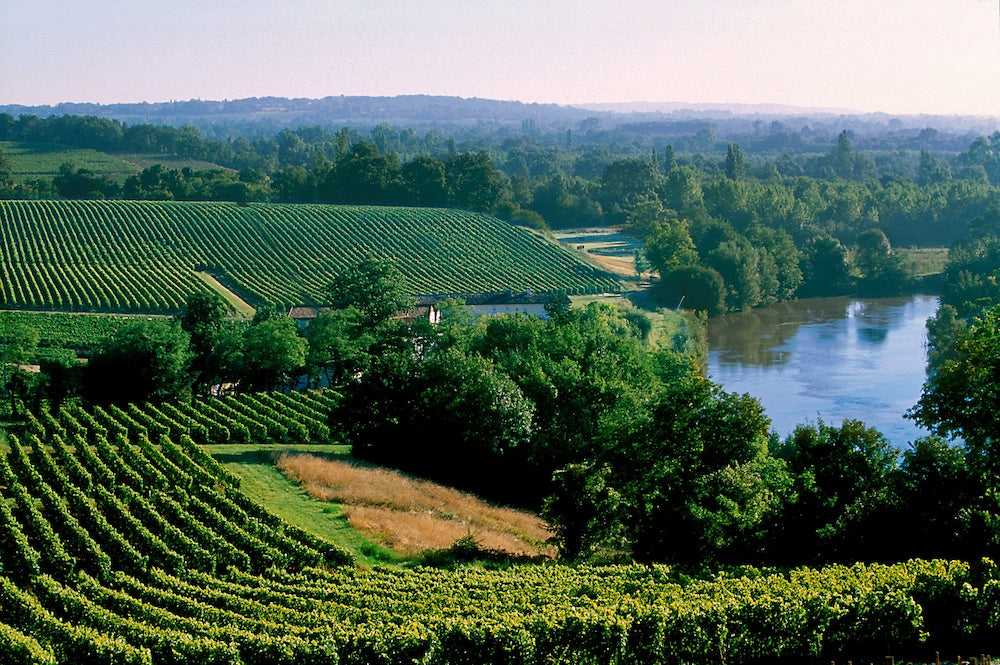 Fronsac 2015, Château Lalande Mausse