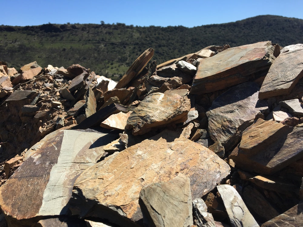 Côtes du Roussillon village 'Les Terrasses' 2021