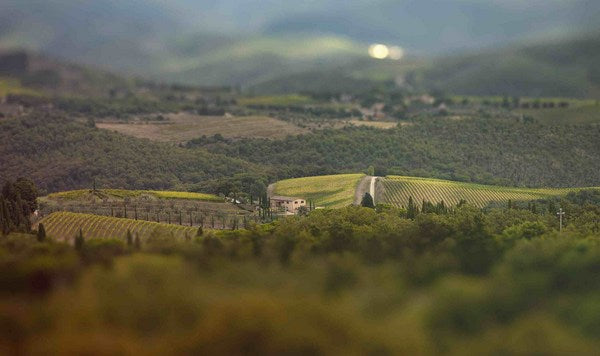 IGT Rosso di Toscana "Tosco"