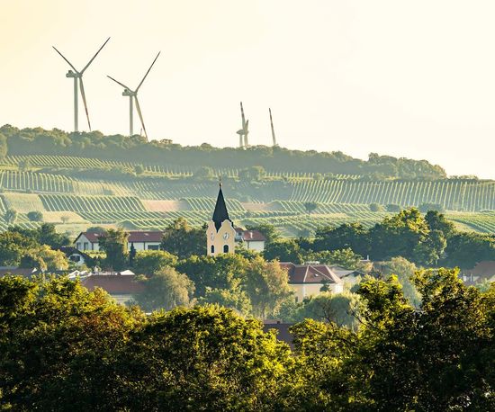 Weinviertel Ried Königsberg 2020