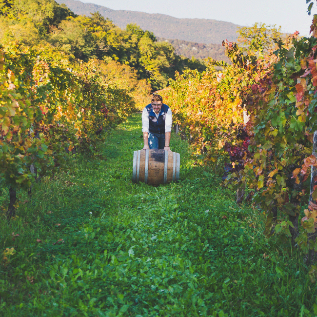 Friuli Colli orientali Riva Destra 2020, Vigna Lenuzza