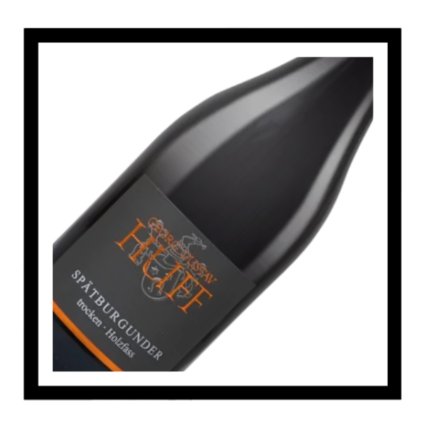 Rheinhessen 'Spatburgunder' 2023, Gustav Huff