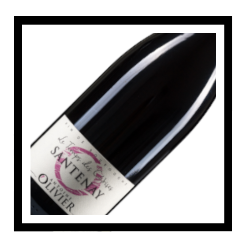 Santenay 'Le temps des C(e)rises' 2022