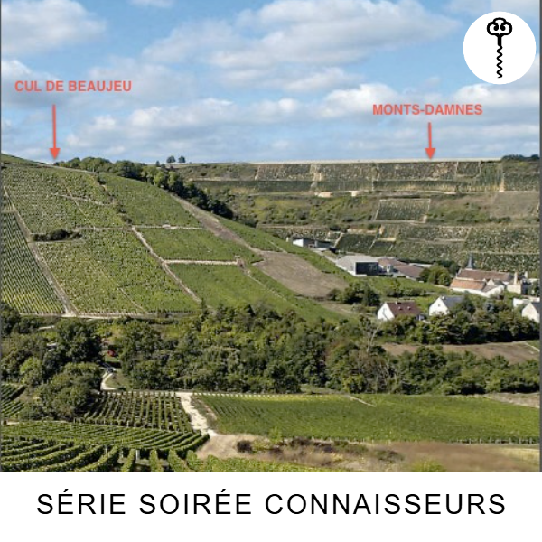 Sancerrois