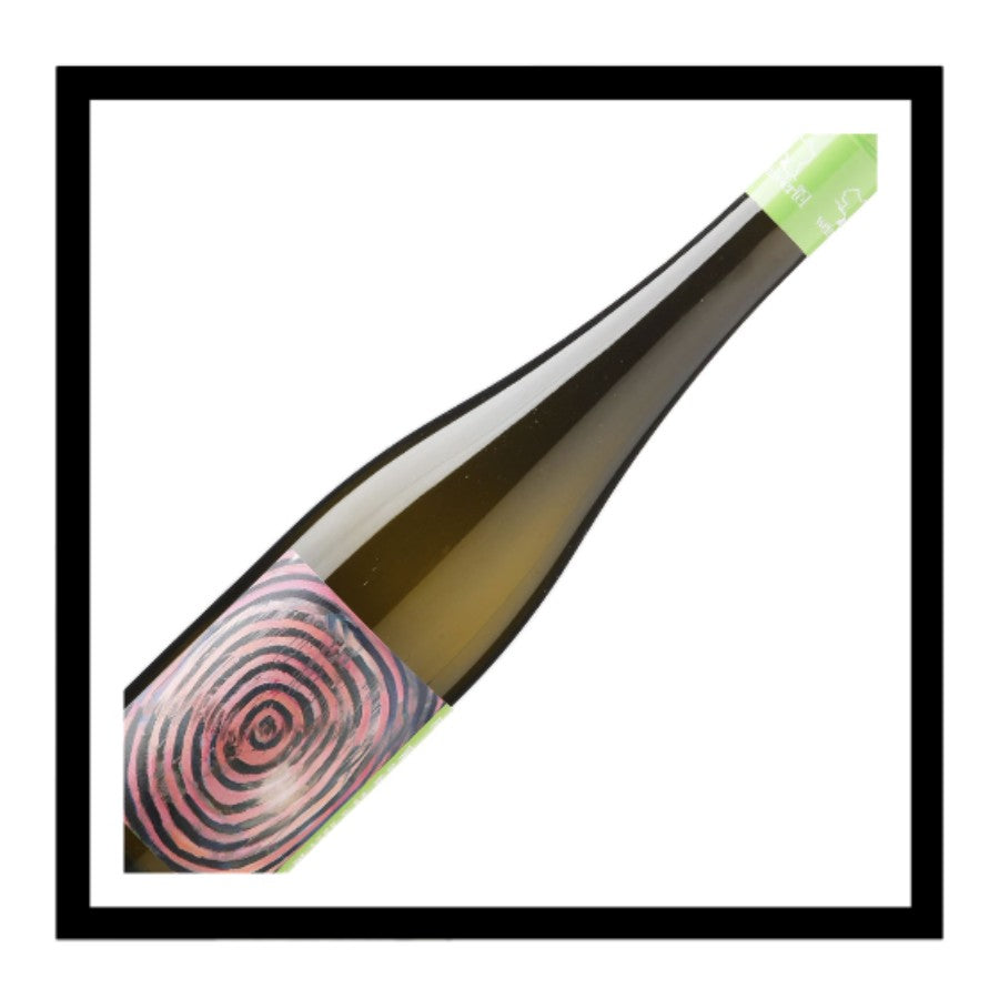 Weinviertel DAC Ried Hintern Dorf 2023, Fink & Kotzian