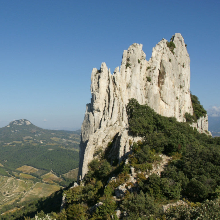 Gigondas vieille vignes 2021