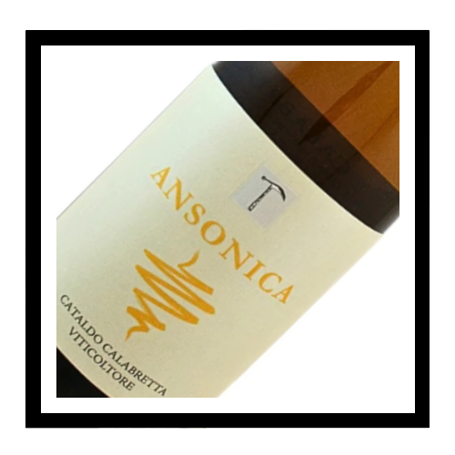 IGT Calabria Bianco 'Ansonica' 2023