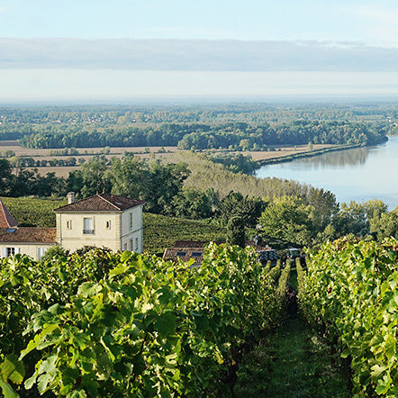 Bordeaux Supérieur "Raphael" 2019