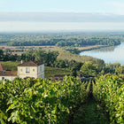 Bordeaux Supérieur 