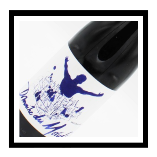 Moulin-à-vent 2020, Domaine des Moriers