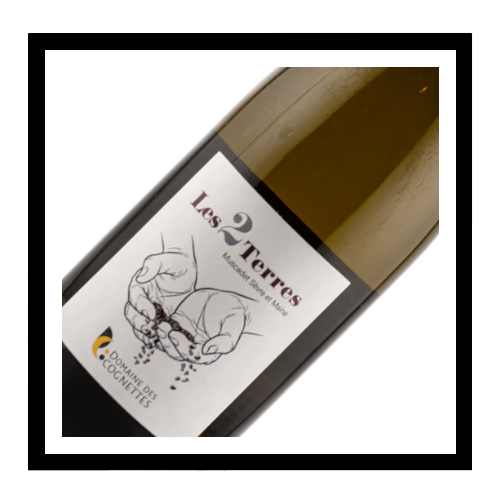 Muscadet de Sèvre et Maine sur Lie 'les deux terres' 2022