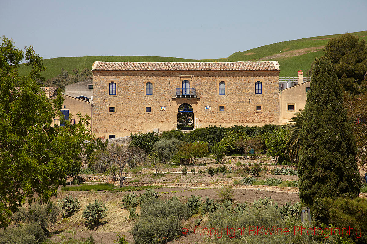 Grillo 'Sallier de la tour' 2022