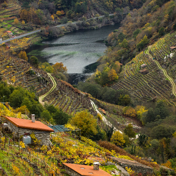 Vin d'Espagne 'Camándula' 2019