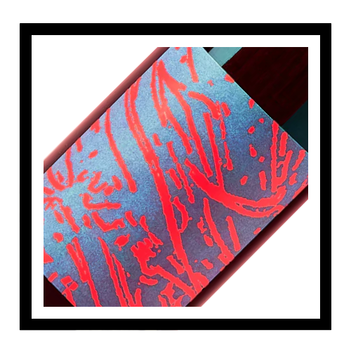 Alsace Pinot Noir 'Le Farouche' 2023