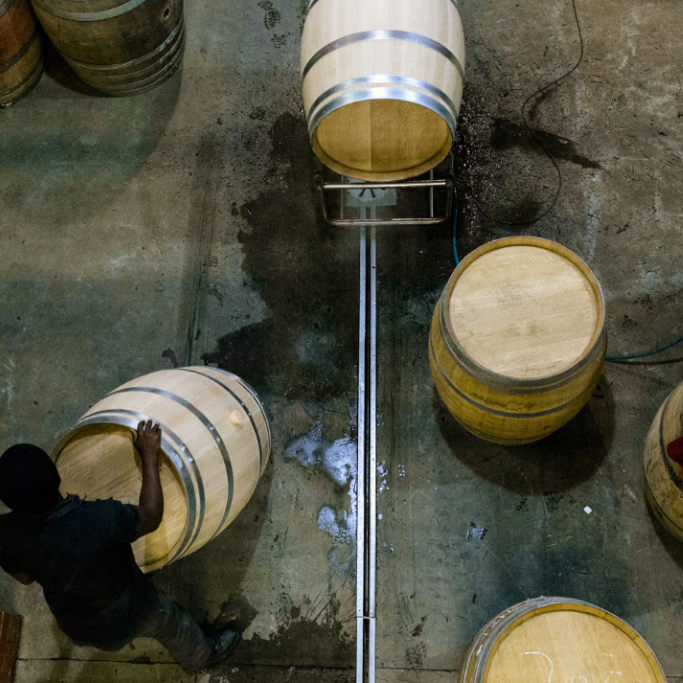 Chardonnay "The Agnes" 2022
