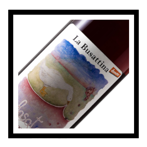 IGT Toscana rosato 2021, La Busattina