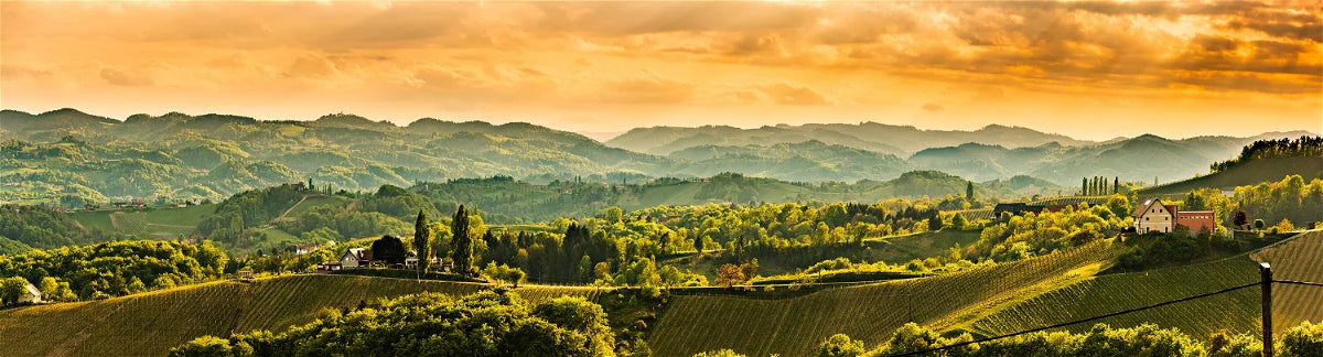 Burgenland Chardonnay 2022