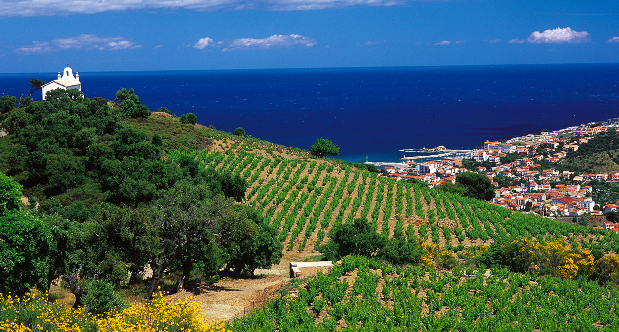 IGP Côtes Catalanes 'Natural' Blanc