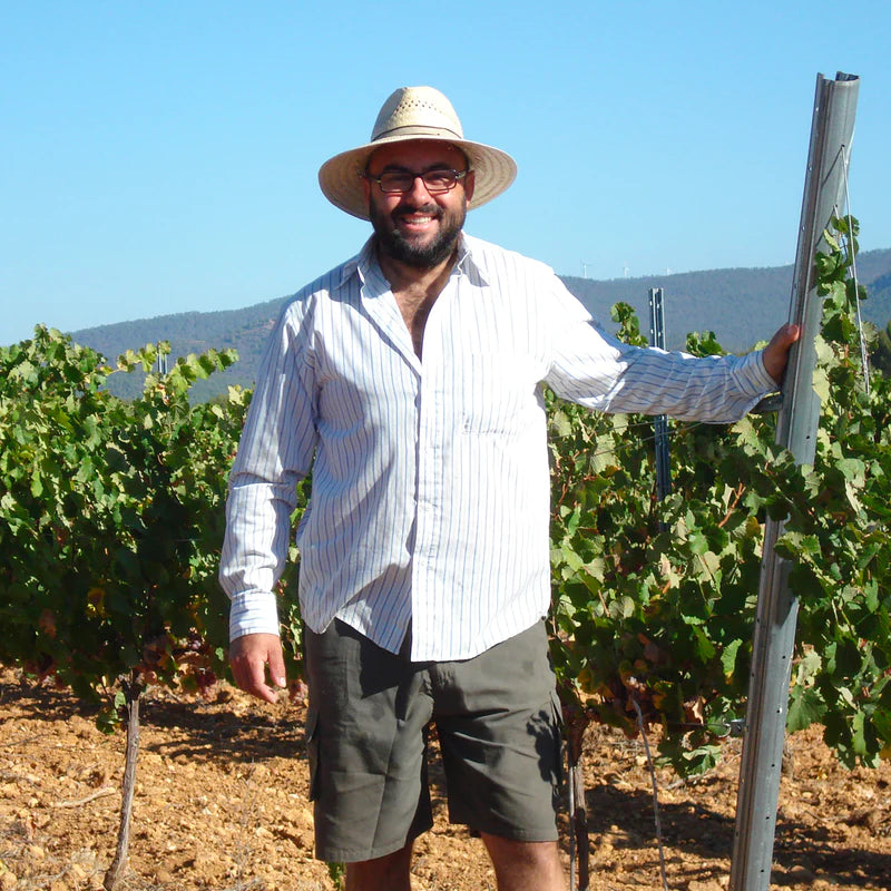 Vino de Mesa Bobal 'Repos' 2022