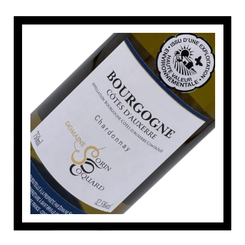 Bourgogne Côtes d'Auxerre 2023, Domaine Sorin Coquard