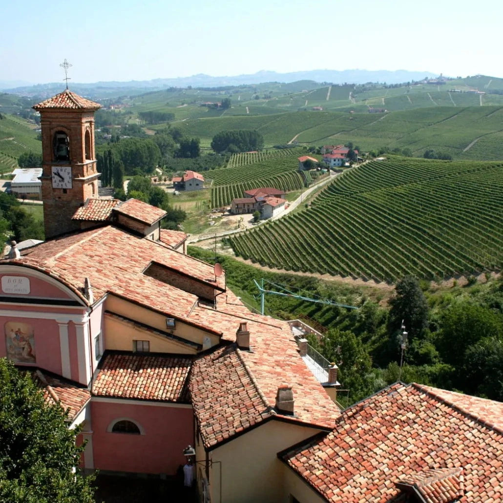 Il Vino Quotidiano Il Merlonero NM