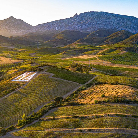 IGP Côtes Catalanes 'Natural' Rouge