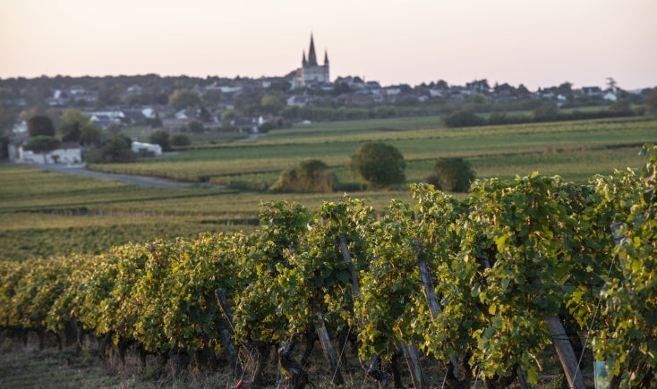 Anjou Chenin blanc 'Le vent dans les saules' 2023