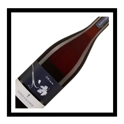 SAQ Alto Adige dop ‘Schiava’ 2022, Alois Lageder