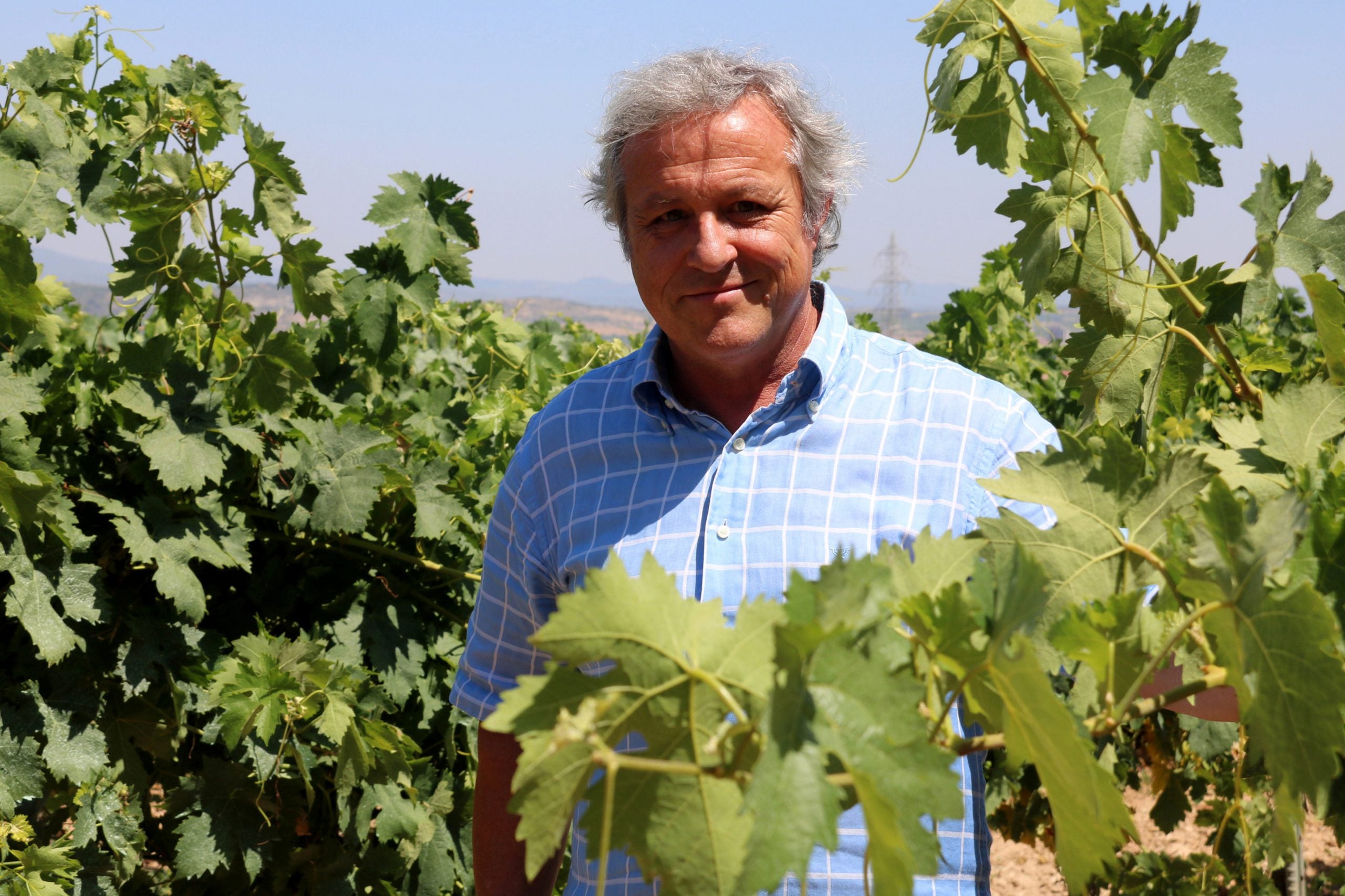 Penedès 'Seleccio' 2022, Can Feixes