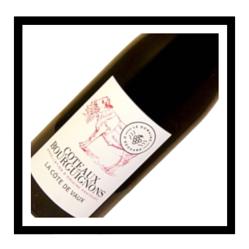 Côteaux Bourguignons 'Côte de Vaux' 2023