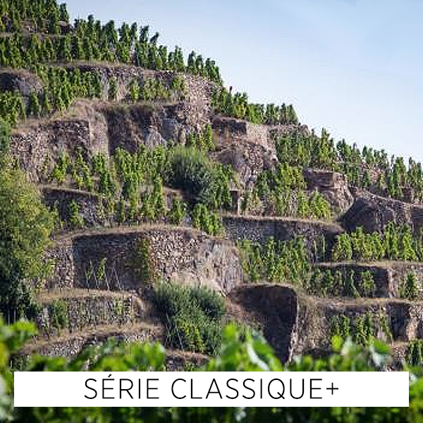 Rhône: le Nord