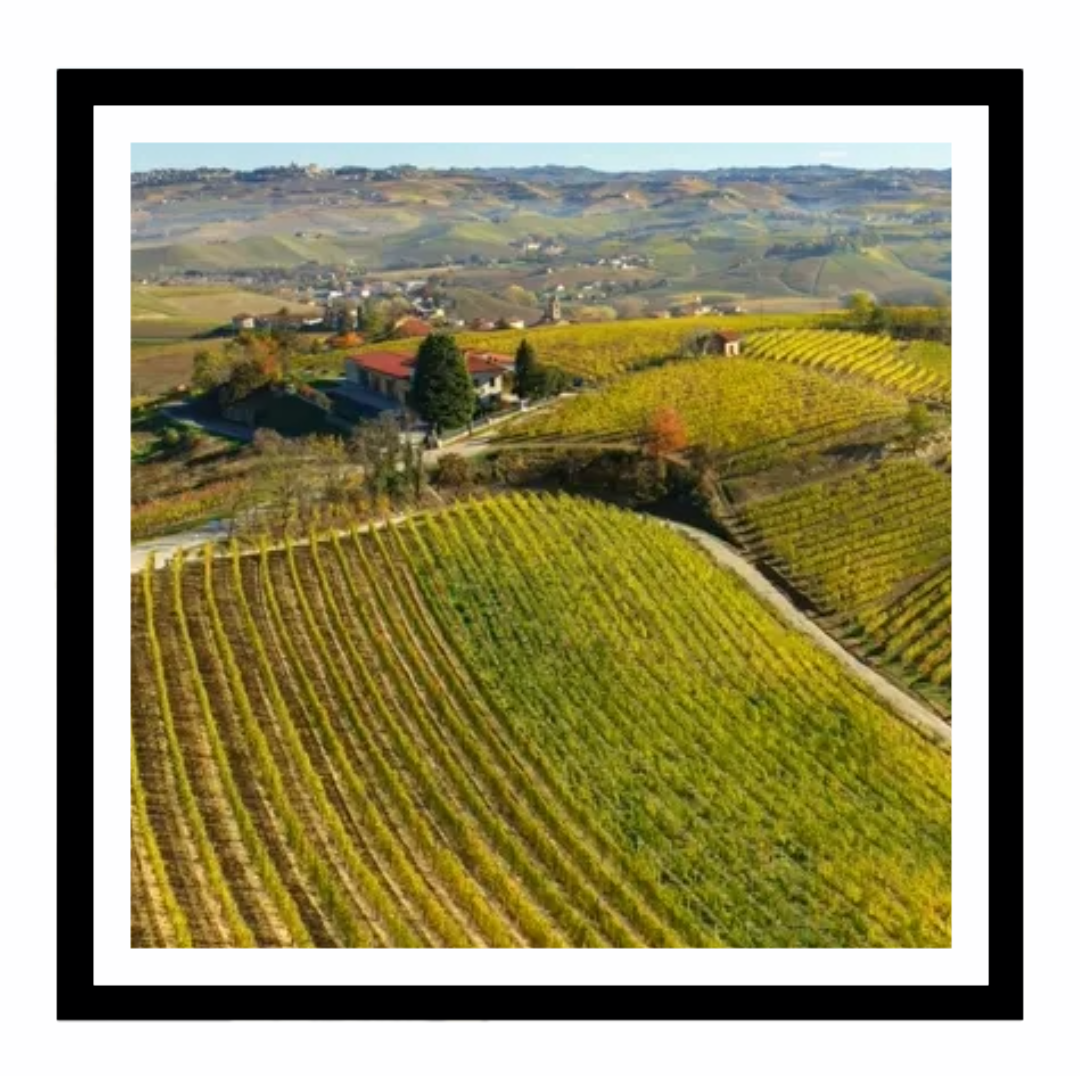 Débouchette de grands Italiens