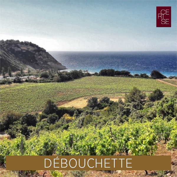 Débouchette de vins Corses à Cerise!