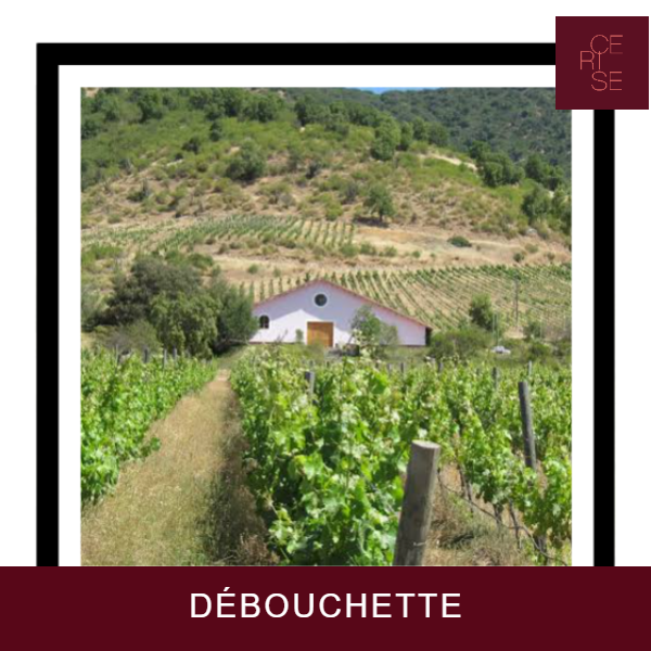Uncorking Domaines François Lurton
