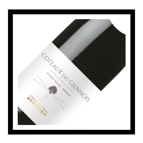 Côteaux du Giennois 2022, Domaine Berthier