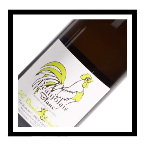 Beaujolais blanc 'Chardonnay' 2023, Damien Coquelet