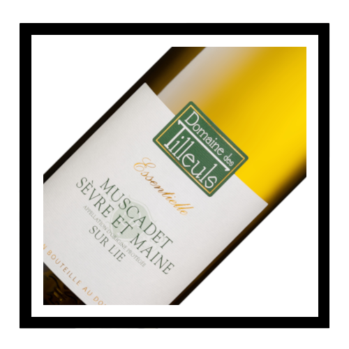 Muscadet Sèvre et Maine sur lie 'L'Essentielle' 2024