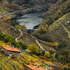 Vin d'Espagne 'Camándula' 2019