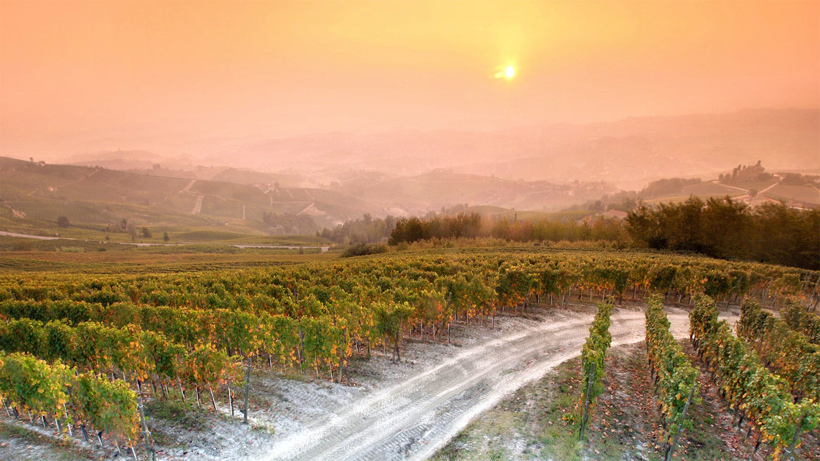 Il Vino Quotidiano Il Merlonero NM