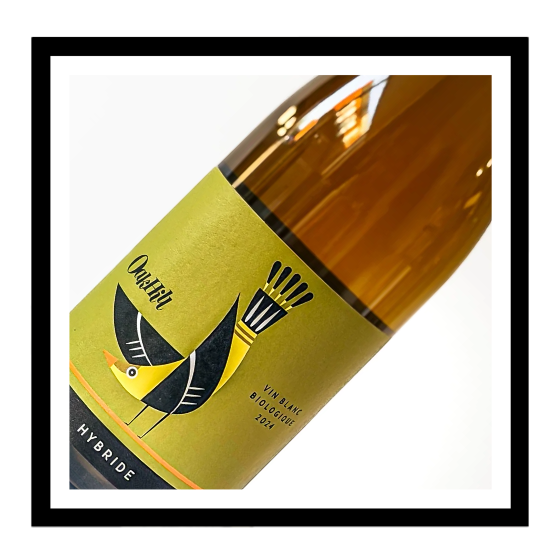 Hybride 2024, Domaine Oak Hill
