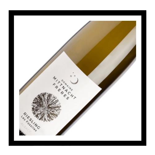 Alsace Riesling 'Les Fossils 2020, Domaine Mittnacht